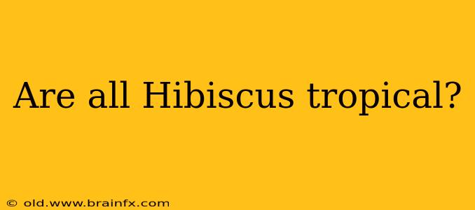 Are all Hibiscus tropical?