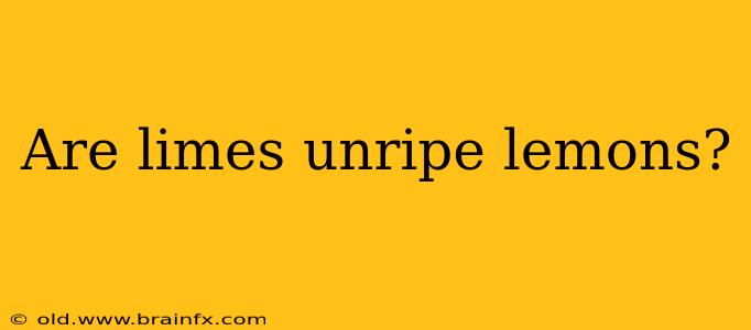 Are limes unripe lemons?