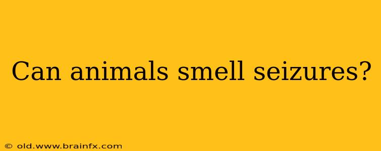 Can animals smell seizures?