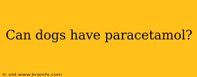 Can dogs have paracetamol?