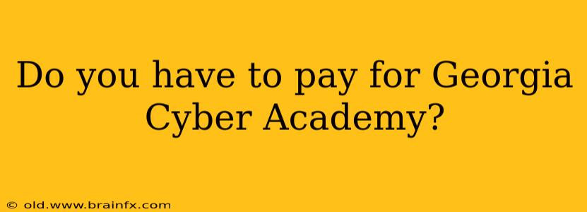 Do you have to pay for Georgia Cyber Academy?