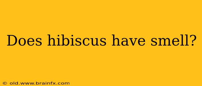 Does hibiscus have smell?