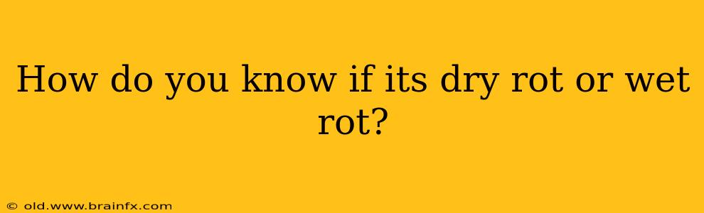 How do you know if its dry rot or wet rot?