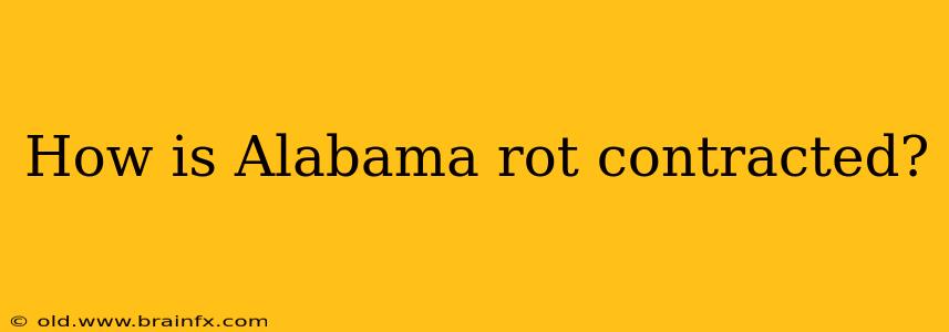 How is Alabama rot contracted?