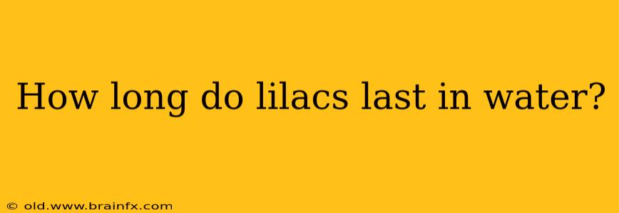 How long do lilacs last in water?