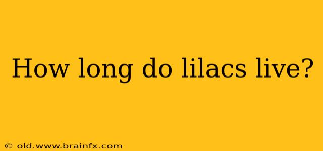 How long do lilacs live?