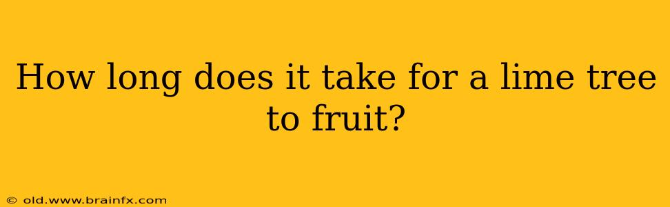 How long does it take for a lime tree to fruit?