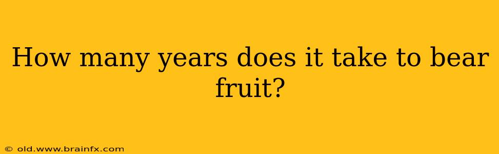 How many years does it take to bear fruit?