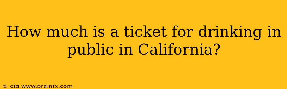 How much is a ticket for drinking in public in California?