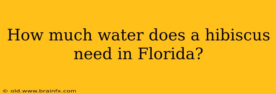 How much water does a hibiscus need in Florida?