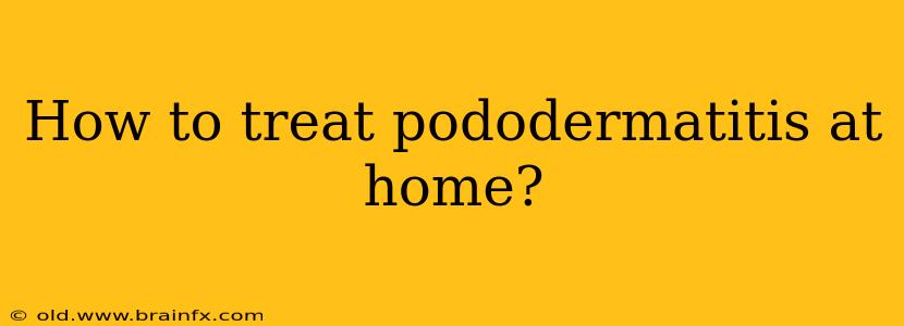 How to treat pododermatitis at home?