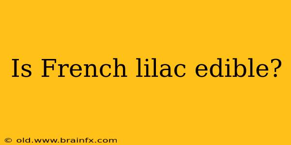 Is French lilac edible?