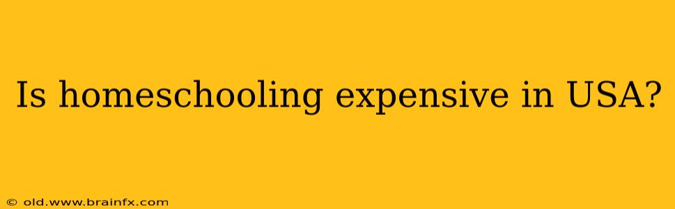 Is homeschooling expensive in USA?