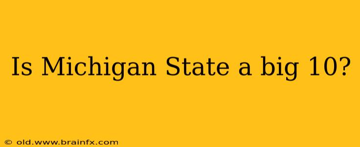 Is Michigan State a big 10?