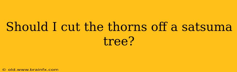 Should I cut the thorns off a satsuma tree?