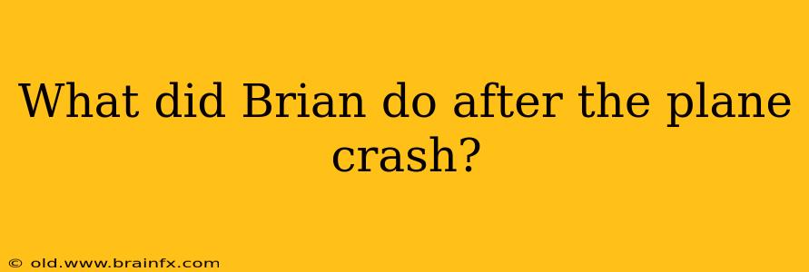 What did Brian do after the plane crash?