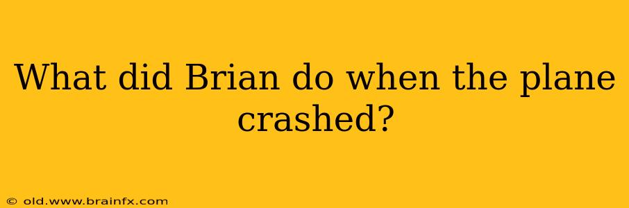 What did Brian do when the plane crashed?