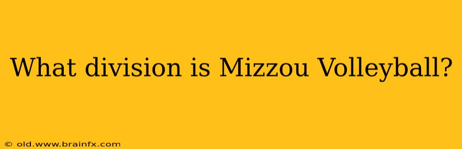 What division is Mizzou Volleyball?