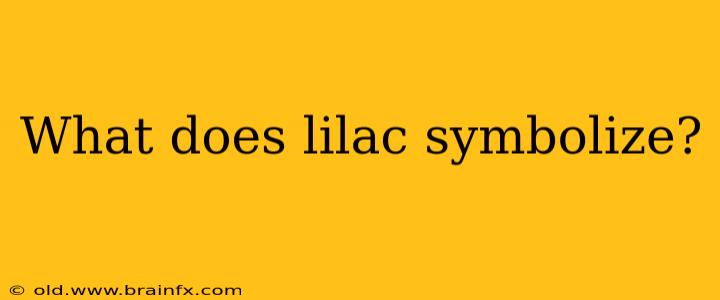 What does lilac symbolize?