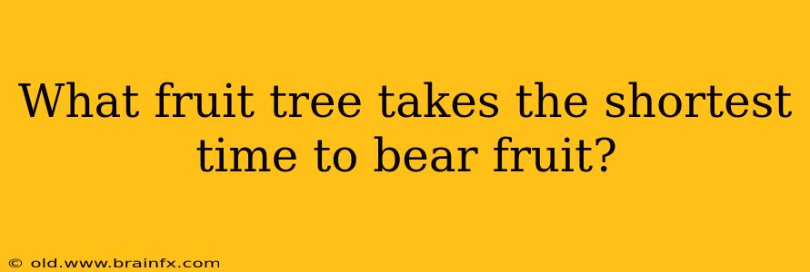 What fruit tree takes the shortest time to bear fruit?