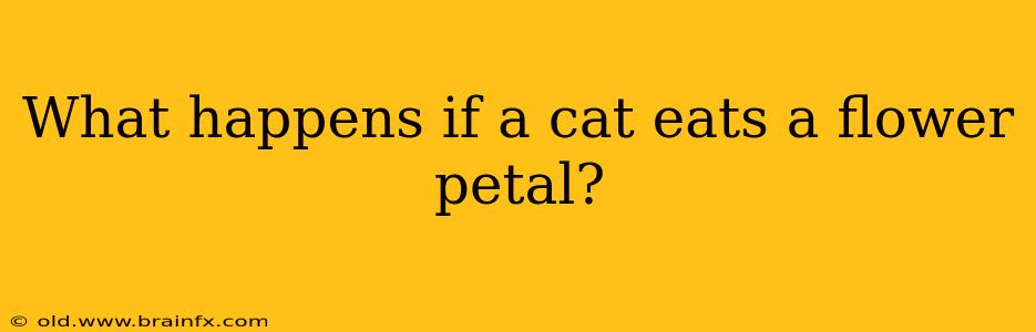 What happens if a cat eats a flower petal?