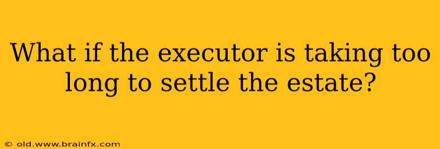 What if the executor is taking too long to settle the estate?