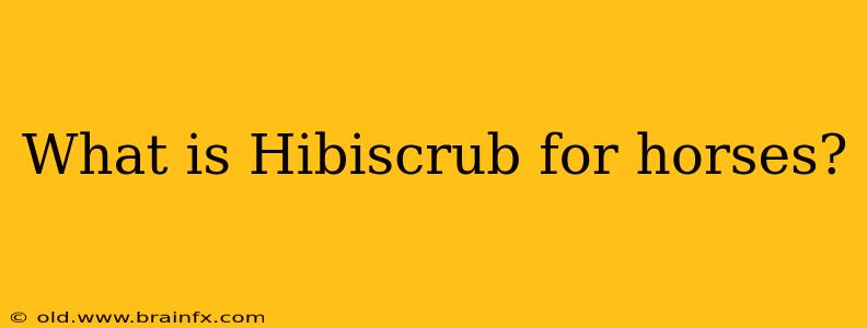 What is Hibiscrub for horses?