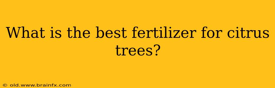 What is the best fertilizer for citrus trees?