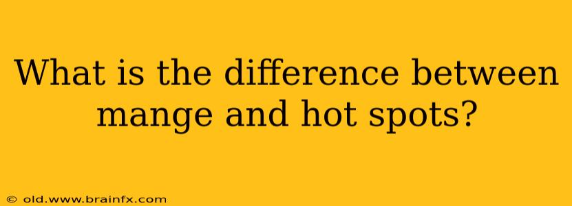 What is the difference between mange and hot spots?