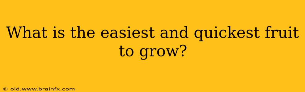 What is the easiest and quickest fruit to grow?