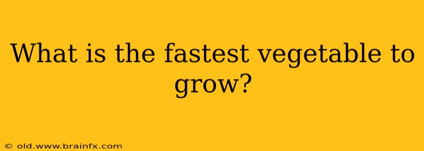 What is the fastest vegetable to grow?