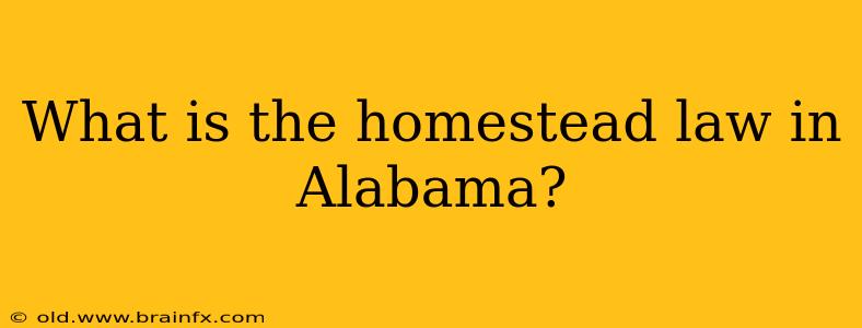 What is the homestead law in Alabama?