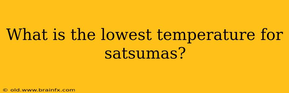 What is the lowest temperature for satsumas?