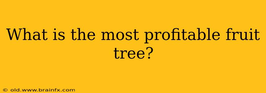 What is the most profitable fruit tree?