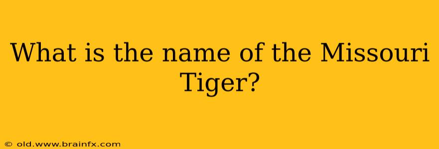 What is the name of the Missouri Tiger?