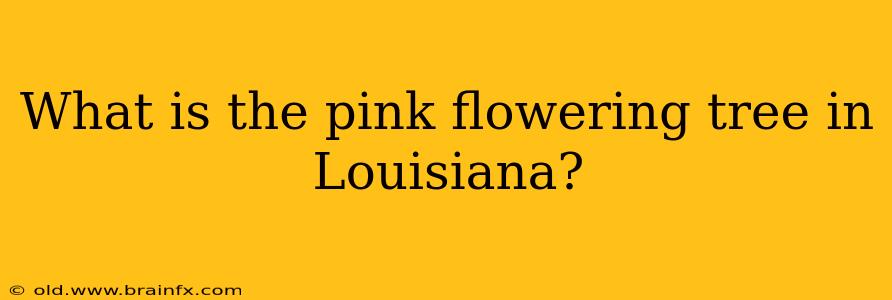 What is the pink flowering tree in Louisiana?