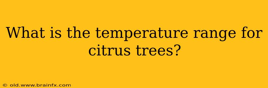 What is the temperature range for citrus trees?