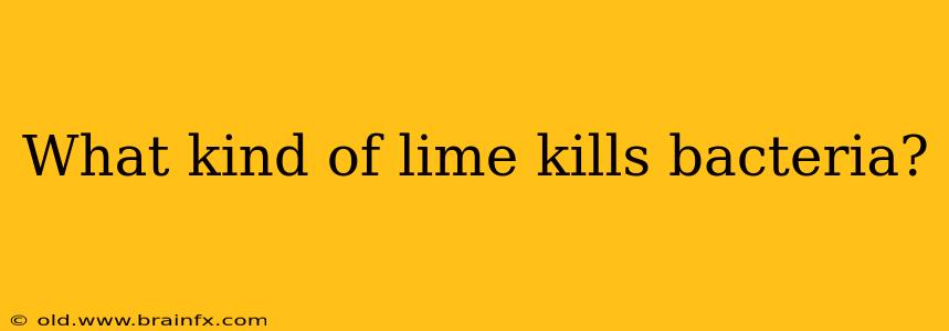 What kind of lime kills bacteria?