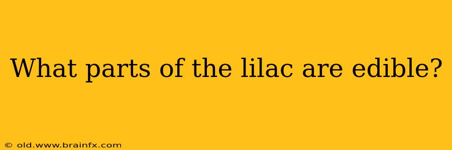 What parts of the lilac are edible?