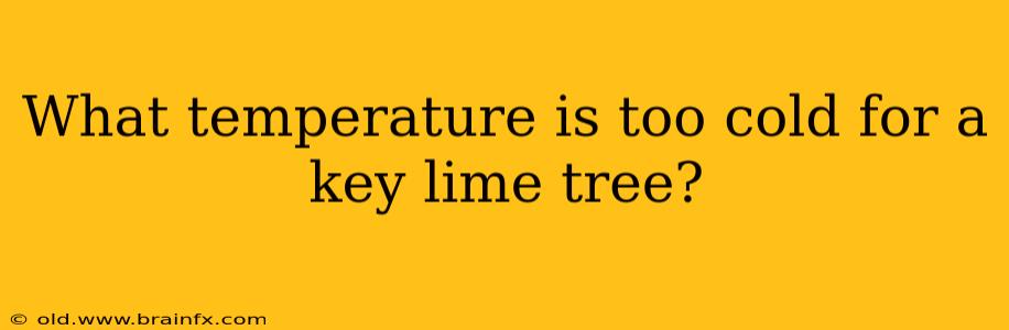 What temperature is too cold for a key lime tree?