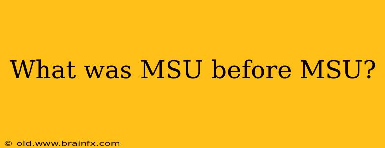 What was MSU before MSU?