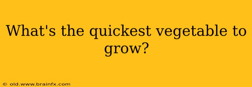 What's the quickest vegetable to grow?