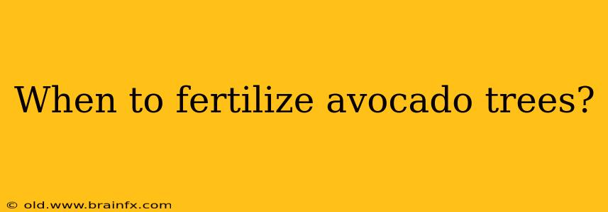 When to fertilize avocado trees?