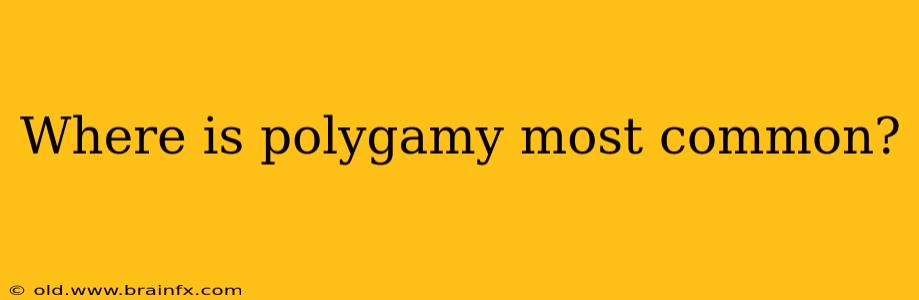 Where is polygamy most common?