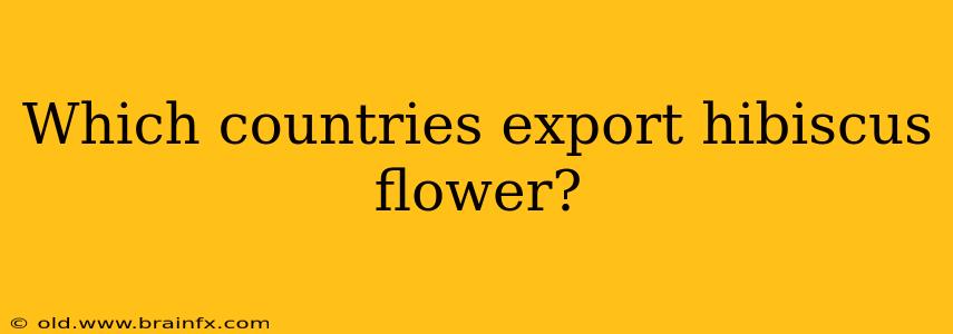 Which countries export hibiscus flower?