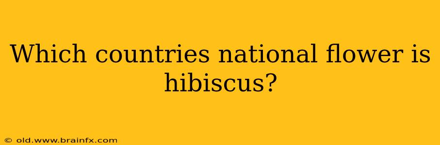 Which countries national flower is hibiscus?