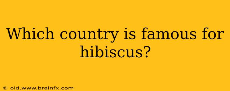 Which country is famous for hibiscus?