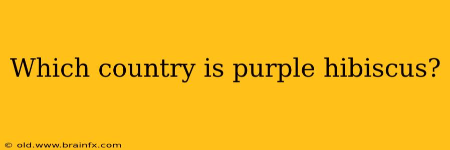 Which country is purple hibiscus?