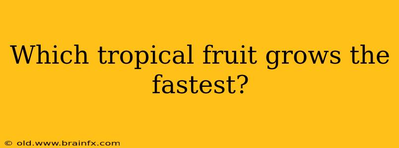 Which tropical fruit grows the fastest?